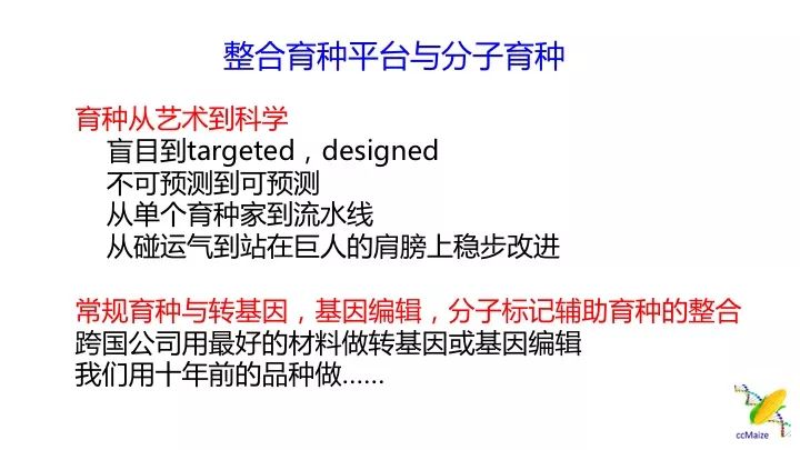 新澳門出今晚最準(zhǔn)確一肖,高度協(xié)調(diào)策略執(zhí)行_挑戰(zhàn)款91.733