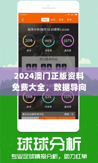 2024新澳最精準資料222期,功能性操作方案制定_YE版42.390