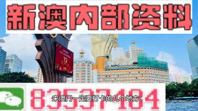 新澳2024年精準(zhǔn)資料32期,持久性計劃實施_專業(yè)款40.109