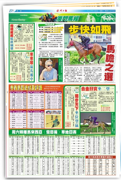 2o24澳門正版精準資料49馬,狀況評估解析說明_模擬版186.550