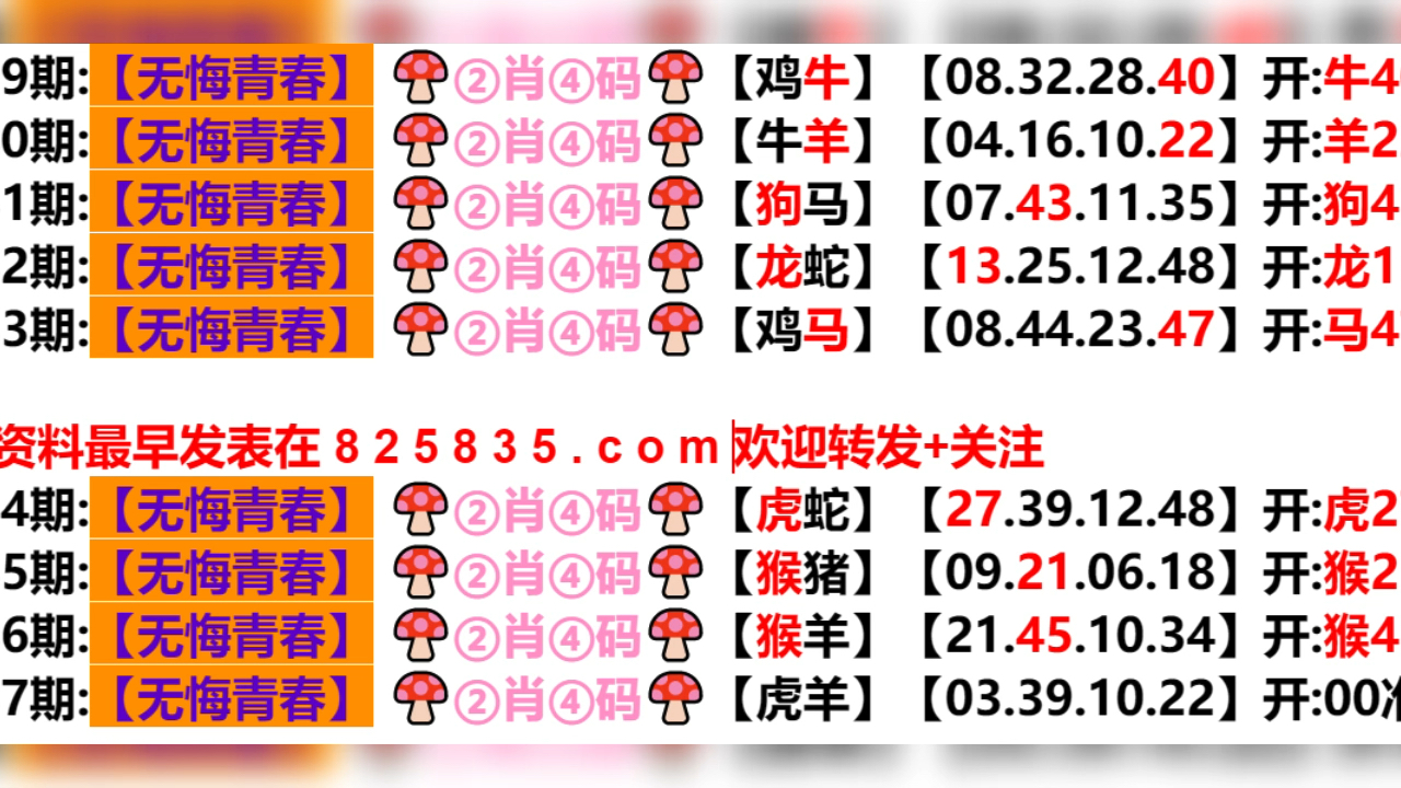 2024新奧歷史開獎結(jié)果查詢澳門六,適用性計(jì)劃解讀_特別款50.329