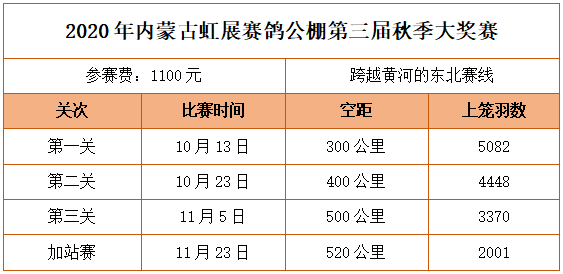 2024新澳門(mén)今天晚上開(kāi)什么生肖,穩(wěn)健性策略評(píng)估_特別版62.884