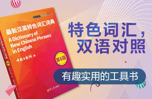 最新漢英特色詞匯及其文化背景下的語(yǔ)言演變概覽