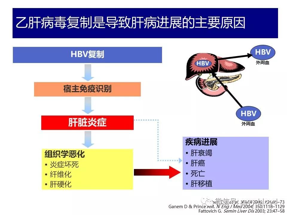 乙肝最新研究成果，突破與希望的曙光