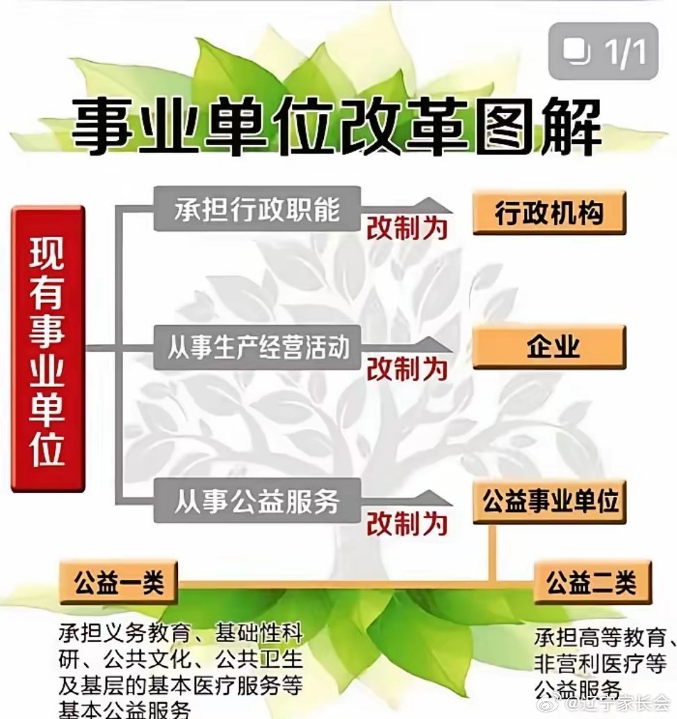 山東事業(yè)單位改革最新消息全面解讀與進(jìn)展更新