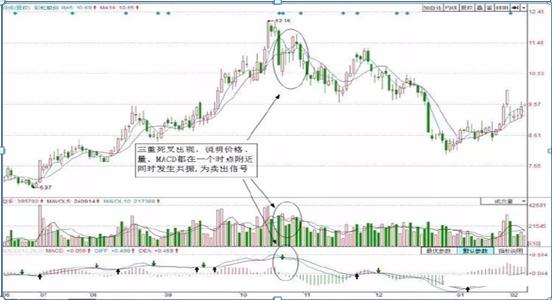 彩虹股份最新動(dòng)態(tài)深度解析，今日消息一覽