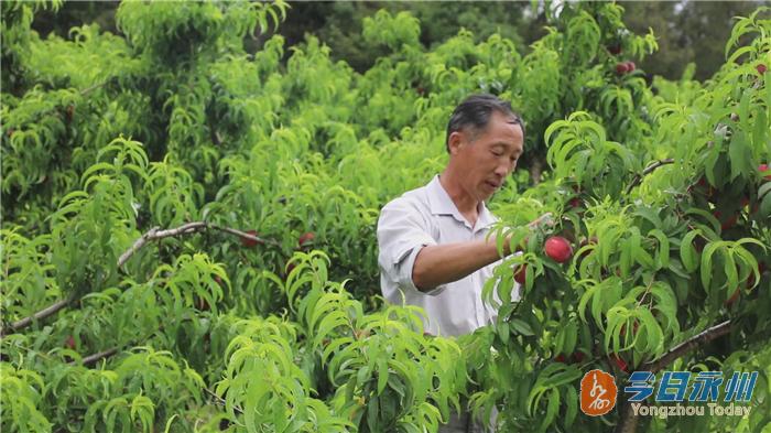 道縣衛(wèi)生健康局領(lǐng)導(dǎo)團(tuán)隊(duì)全新亮相，未來工作展望與領(lǐng)導(dǎo)團(tuán)隊(duì)介紹