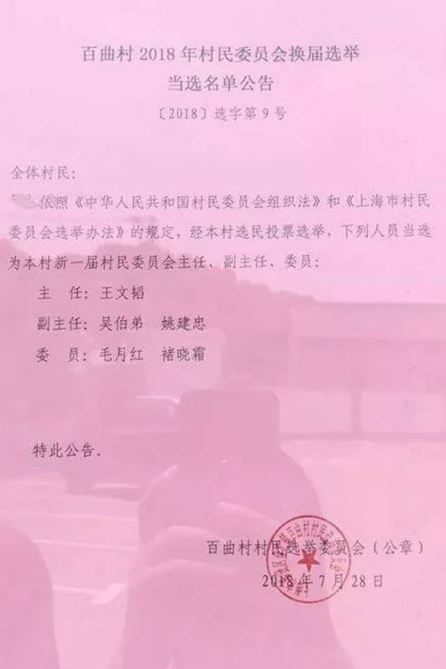 柳林村委會人事任命更新，村級治理邁向新臺階