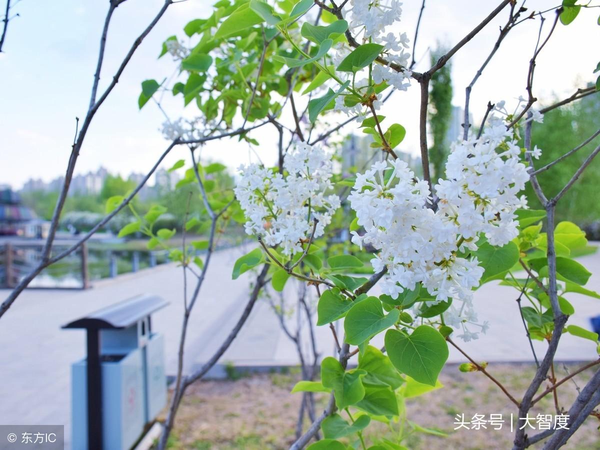 落花網(wǎng)，最新電影電視劇觀看的優(yōu)質(zhì)平臺