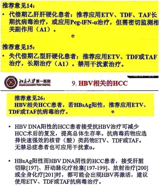 最新肝病指南，理解、預(yù)防與管理肝病的關(guān)鍵之道