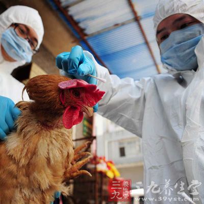 重慶H7N9禽流感疫情最新消息更新