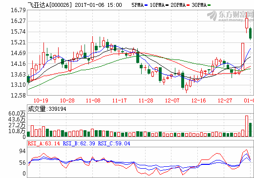 飛亞達(dá)A最新消息全面解析與概述