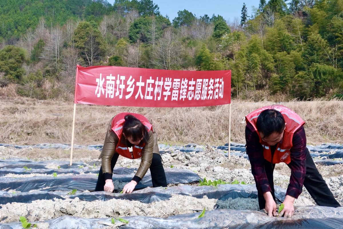 水南圩鄉(xiāng)最新項目引領(lǐng)鄉(xiāng)村發(fā)展新征程